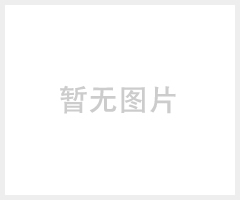 博瑞烟雾净化滤芯